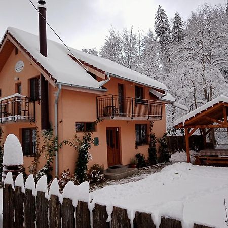 Casa Iulia & Matei Villa Cârțișoara Exterior photo