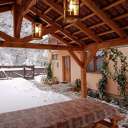 Casa Iulia & Matei Villa Cârțișoara Exterior photo