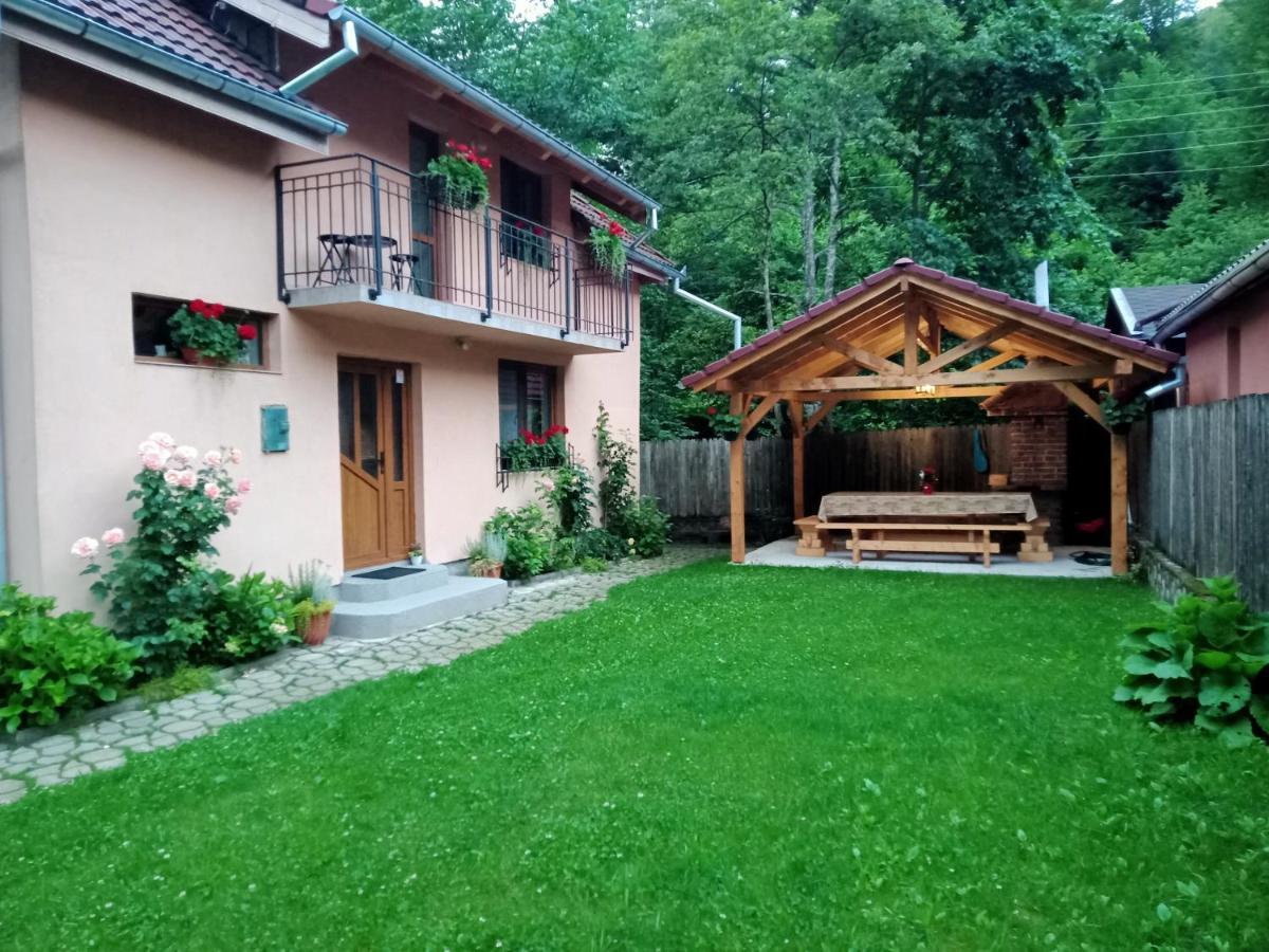 Casa Iulia & Matei Villa Cârțișoara Exterior photo