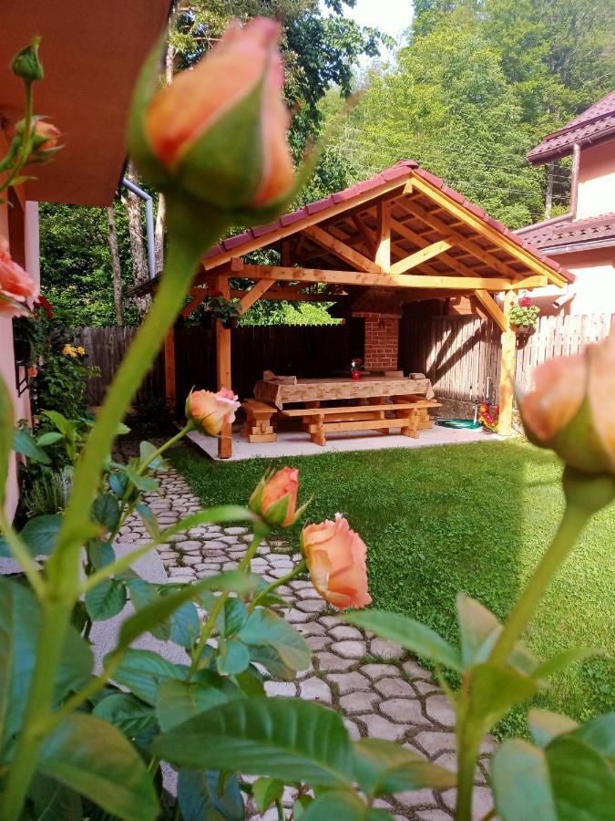 Casa Iulia & Matei Villa Cârțișoara Exterior photo
