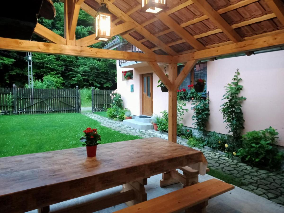 Casa Iulia & Matei Villa Cârțișoara Exterior photo