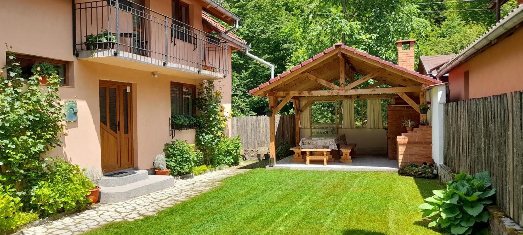 Casa Iulia & Matei Villa Cârțișoara Exterior photo