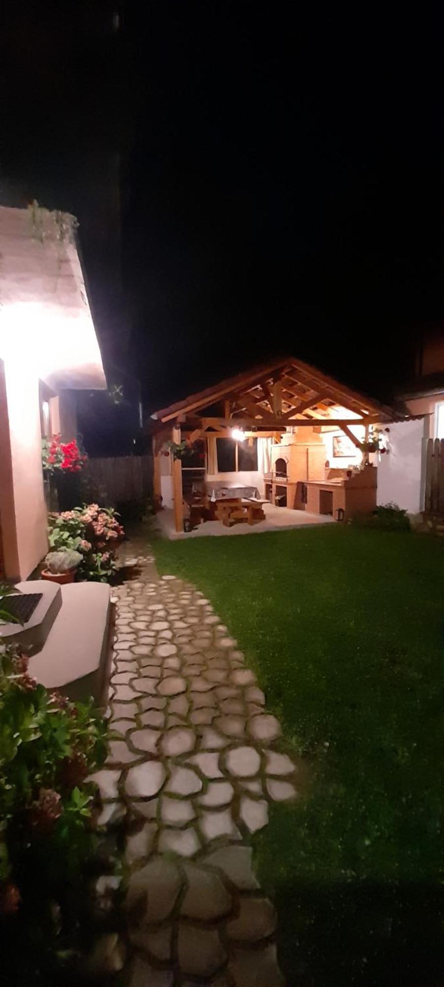 Casa Iulia & Matei Villa Cârțișoara Exterior photo